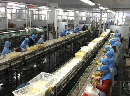  食品加工廢（fèi）氣（qì）處理